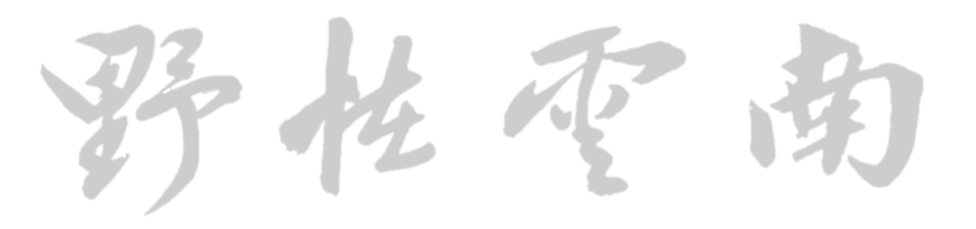 野性云南